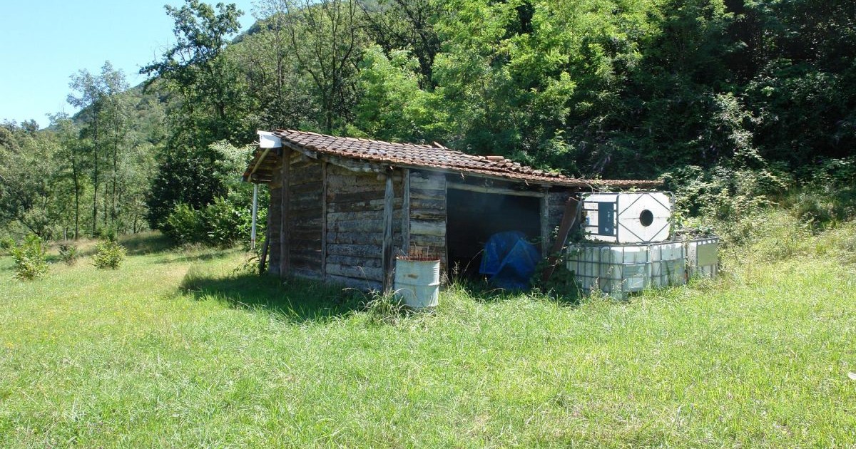 RUSTICO TARTUFO PORTO VALTRAVAGLIA