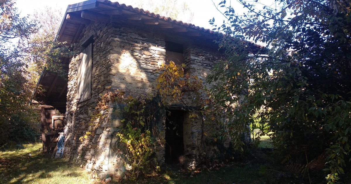 RUSTICO BALA