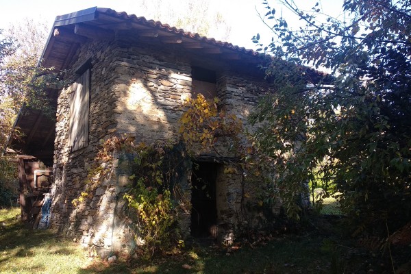 RUSTICO BALA