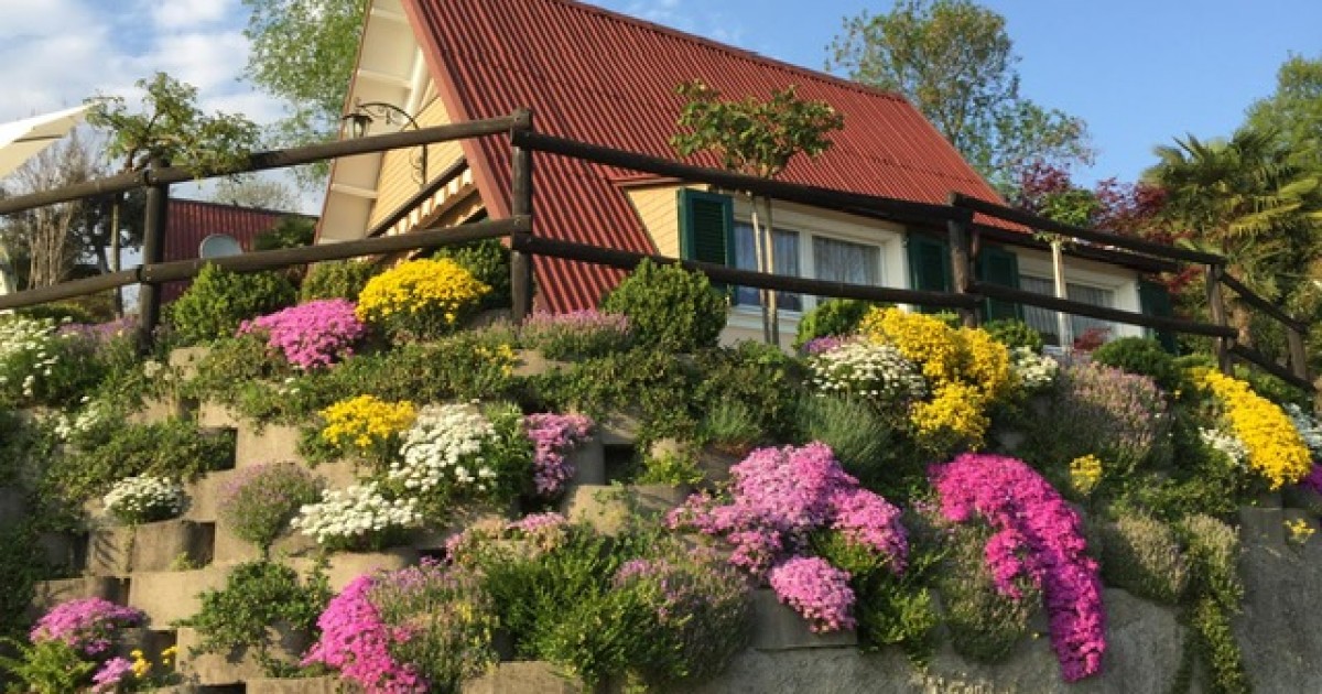 VILLAGGIO OLANDESE E 14