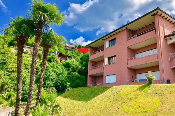 STUDIO BELMONTE 53 